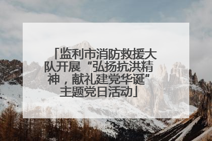 监利市消防救援大队开展“弘扬抗洪精神，献礼建党华诞”主题党日活动