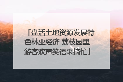 盘活土地资源发展特色林业经济 荔枝园里游客欢声笑语采摘忙