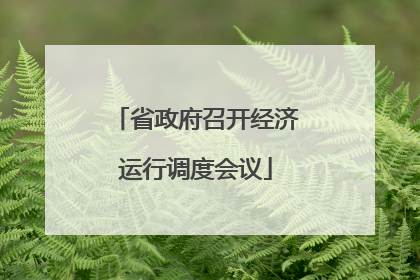 省政府召开经济运行调度会议