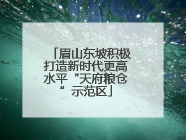 眉山东坡积极打造新时代更高水平“天府粮仓”示范区