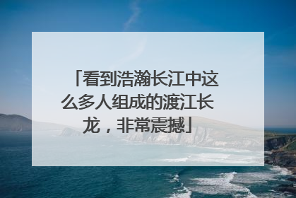 看到浩瀚长江中这么多人组成的渡江长龙，非常震撼