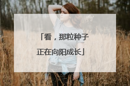 看，那粒种子正在向阳成长