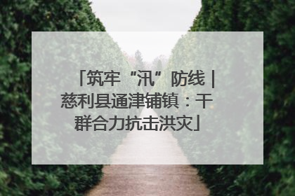 筑牢“汛”防线｜慈利县通津铺镇：干群合力抗击洪灾