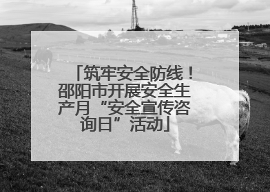 筑牢安全防线！邵阳市开展安全生产月“安全宣传咨询日”活动