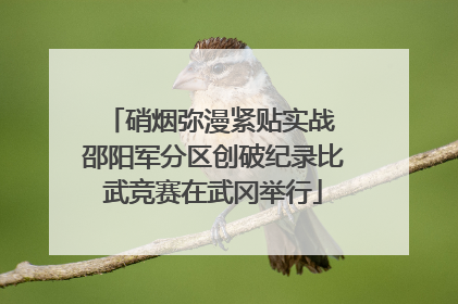 硝烟弥漫紧贴实战 邵阳军分区创破纪录比武竞赛在武冈举行