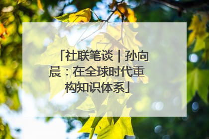 社联笔谈｜孙向晨：在全球时代重构知识体系