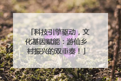 科技引擎驱动，文化基因赋能：游仙乡村振兴的双重奏！