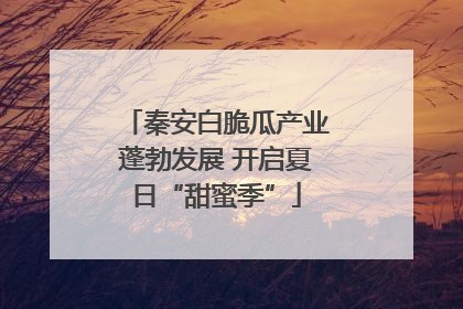 秦安白脆瓜产业蓬勃发展 开启夏日“甜蜜季”