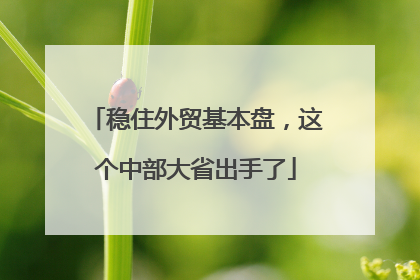 稳住外贸基本盘，这个中部大省出手了
