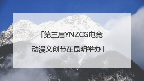 第三届YNZCG电竞动漫文创节在昆明举办
