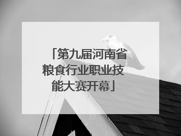 第九届河南省粮食行业职业技能大赛开幕