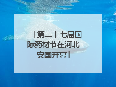 第二十七届国际药材节在河北安国开幕