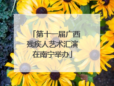 第十一届广西残疾人艺术汇演在南宁举办