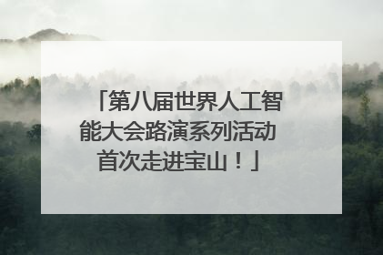 第八届世界人工智能大会路演系列活动首次走进宝山！