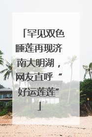 罕见双色睡莲再现济南大明湖，网友直呼“好运莲莲”