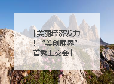 美丽经济发力！“美创静界”首秀上交会