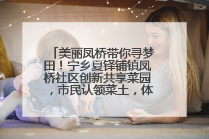 美丽凤桥带你寻梦田！宁乡夏铎铺镇凤桥社区创新共享菜园，市民认领菜土，体验耕种收获乐趣