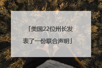 美国22位州长发表了一份联合声明