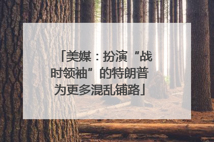 美媒：扮演“战时领袖”的特朗普为更多混乱铺路