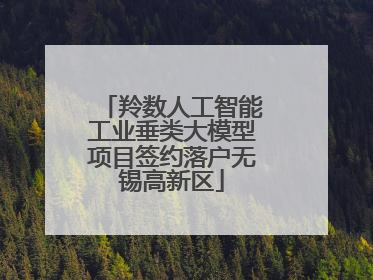 羚数人工智能工业垂类大模型项目签约落户无锡高新区