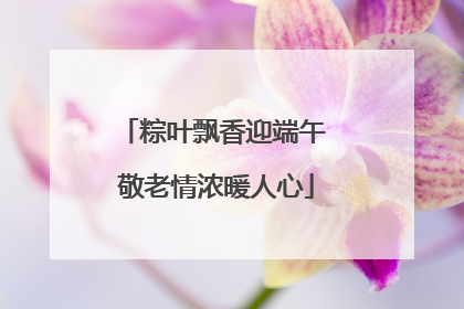 粽叶飘香迎端午 敬老情浓暖人心
