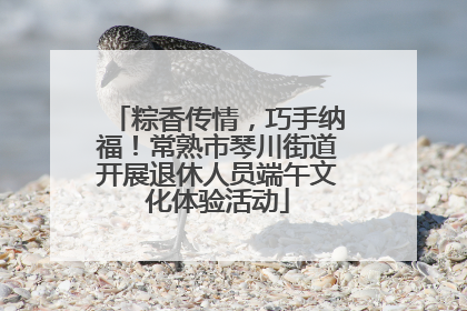 粽香传情，巧手纳福！常熟市琴川街道开展退休人员端午文化体验活动