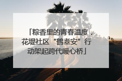 粽香里的青春温度，花堤社区“鹤耋安”行动架起跨代暖心桥
