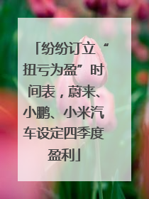 纷纷订立“扭亏为盈”时间表，蔚来、小鹏、小米汽车设定四季度盈利
