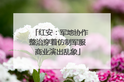 红安：军地协作整治穿着仿制军服商业演出乱象
