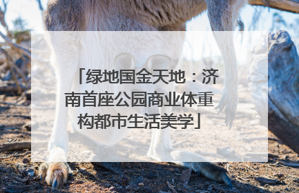 绿地国金天地：济南首座公园商业体重构都市生活美学