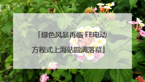 绿色风暴再临 FE电动方程式上海站圆满落幕