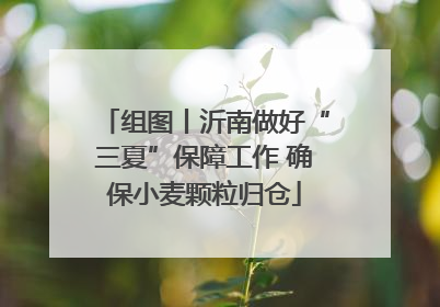 组图丨沂南做好“三夏”保障工作 确保小麦颗粒归仓