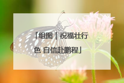 组图｜祝福壮行色 自信赴鹏程