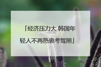 经济压力大 韩国年轻人不再热衷考驾照