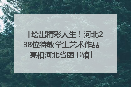 绘出精彩人生！河北238位特教学生艺术作品亮相河北省图书馆