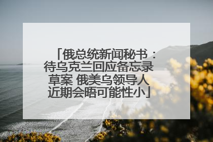 俄总统新闻秘书：待乌克兰回应备忘录草案 俄美乌领导人近期会晤可能性小