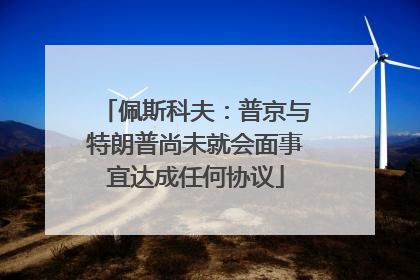 佩斯科夫：普京与特朗普尚未就会面事宜达成任何协议