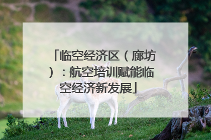 临空经济区（廊坊）：航空培训赋能临空经济新发展