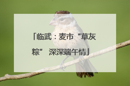 临武：麦市“草灰粽” 深深端午情