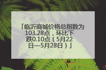 临沂商城价格总指数为103.28点，环比下跌0.10点（5月22日—5月28日）