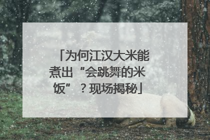 为何江汉大米能煮出“会跳舞的米饭”？现场揭秘