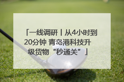 一线调研丨从4小时到20分钟 青岛港科技升级货物“秒通关”