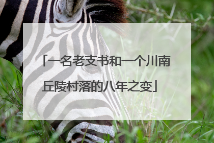 一名老支书和一个川南丘陵村落的八年之变