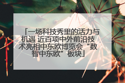 一场科技秀里的活力与机遇 近百项中外前沿技术亮相中东欧博览会“数智中东欧”板块
