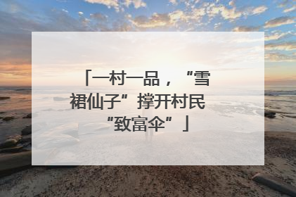 一村一品，“雪裙仙子”撑开村民“致富伞”