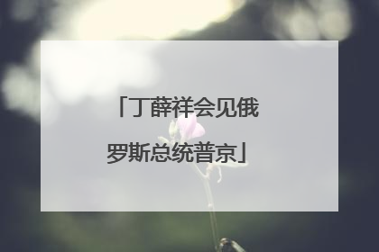 丁薛祥会见俄罗斯总统普京