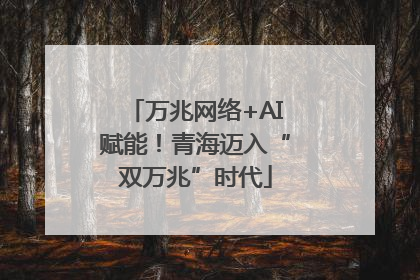 万兆网络+AI赋能！青海迈入“双万兆”时代