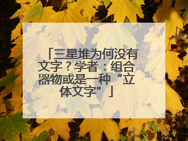 三星堆为何没有文字？学者：组合器物或是一种“立体文字”