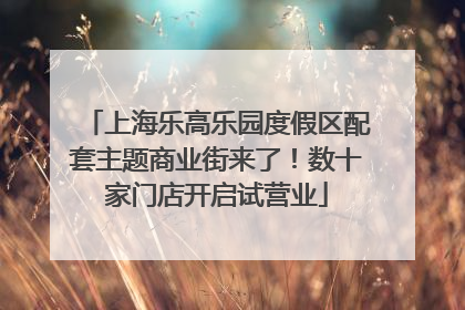 上海乐高乐园度假区配套主题商业街来了！数十家门店开启试营业