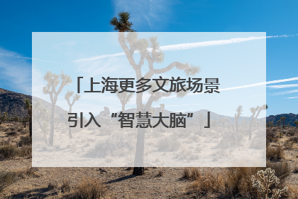 上海更多文旅场景引入“智慧大脑”